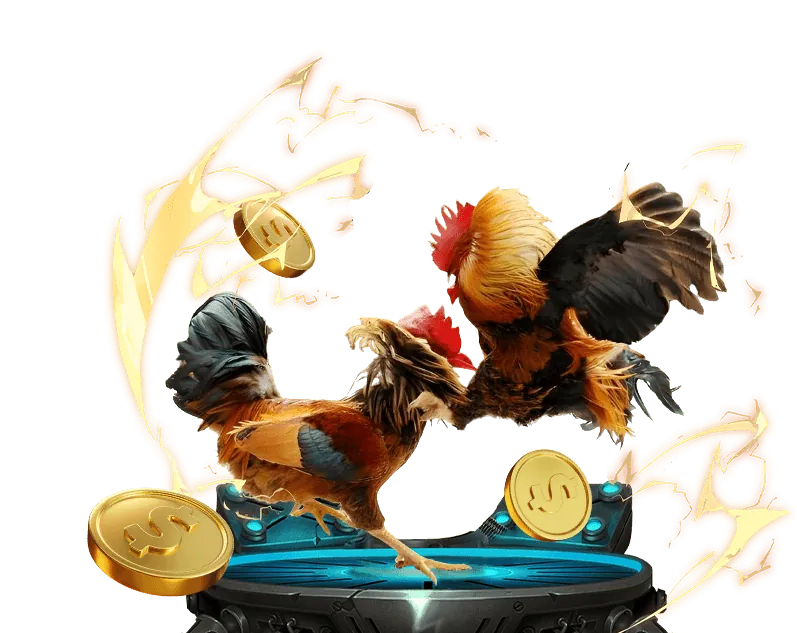 Hình ảnh người đang nghiên cứu chiến lược cá cược an toàn